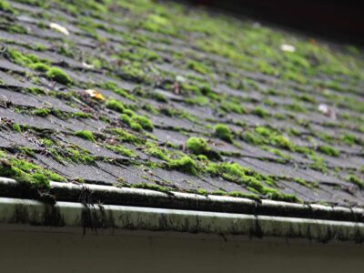 Roof sealant Formby