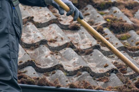 Liverpool Roof Moss Removal Experts
