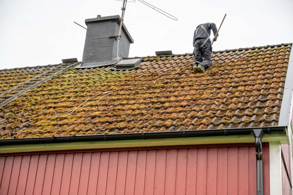 Liverpool roof moss removal